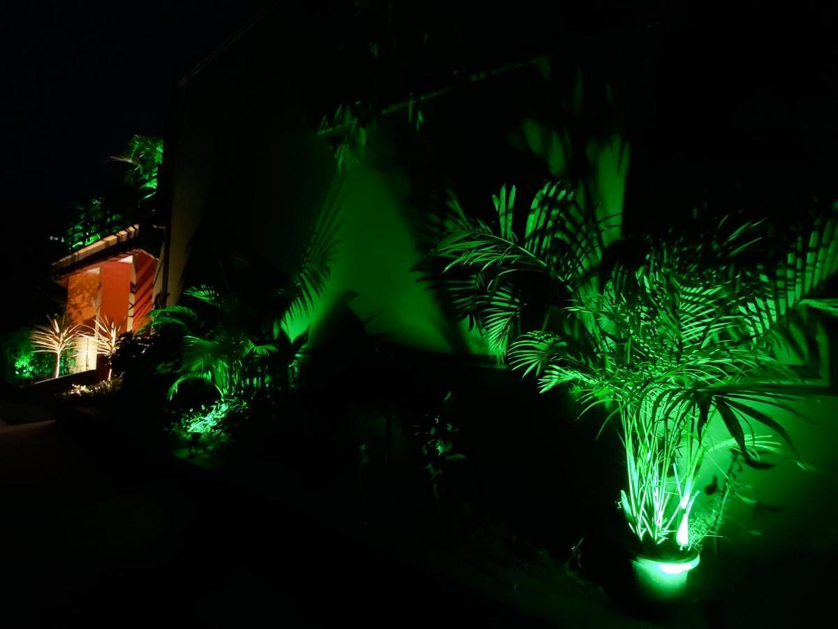 Banana Farm House هامبي المظهر الخارجي الصورة