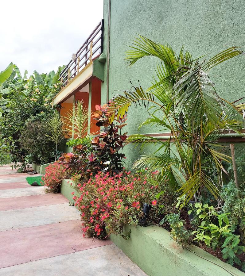 Banana Farm House هامبي المظهر الخارجي الصورة