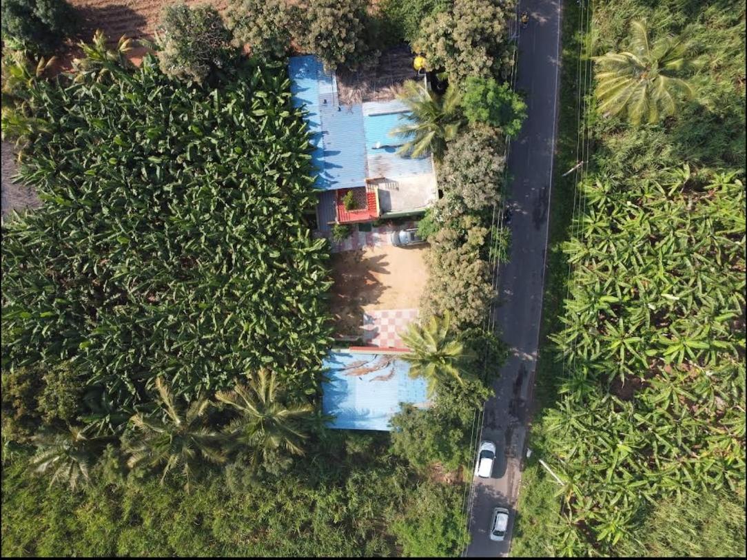 Banana Farm House هامبي المظهر الخارجي الصورة
