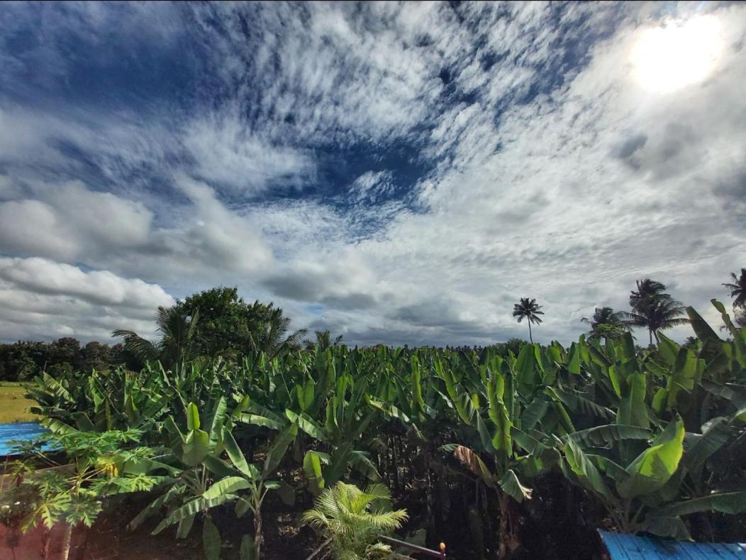 Banana Farm House هامبي المظهر الخارجي الصورة