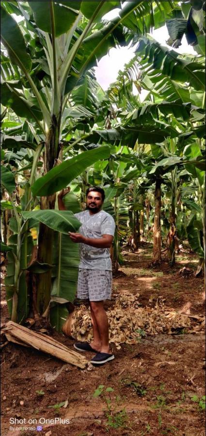 Banana Farm House هامبي المظهر الخارجي الصورة