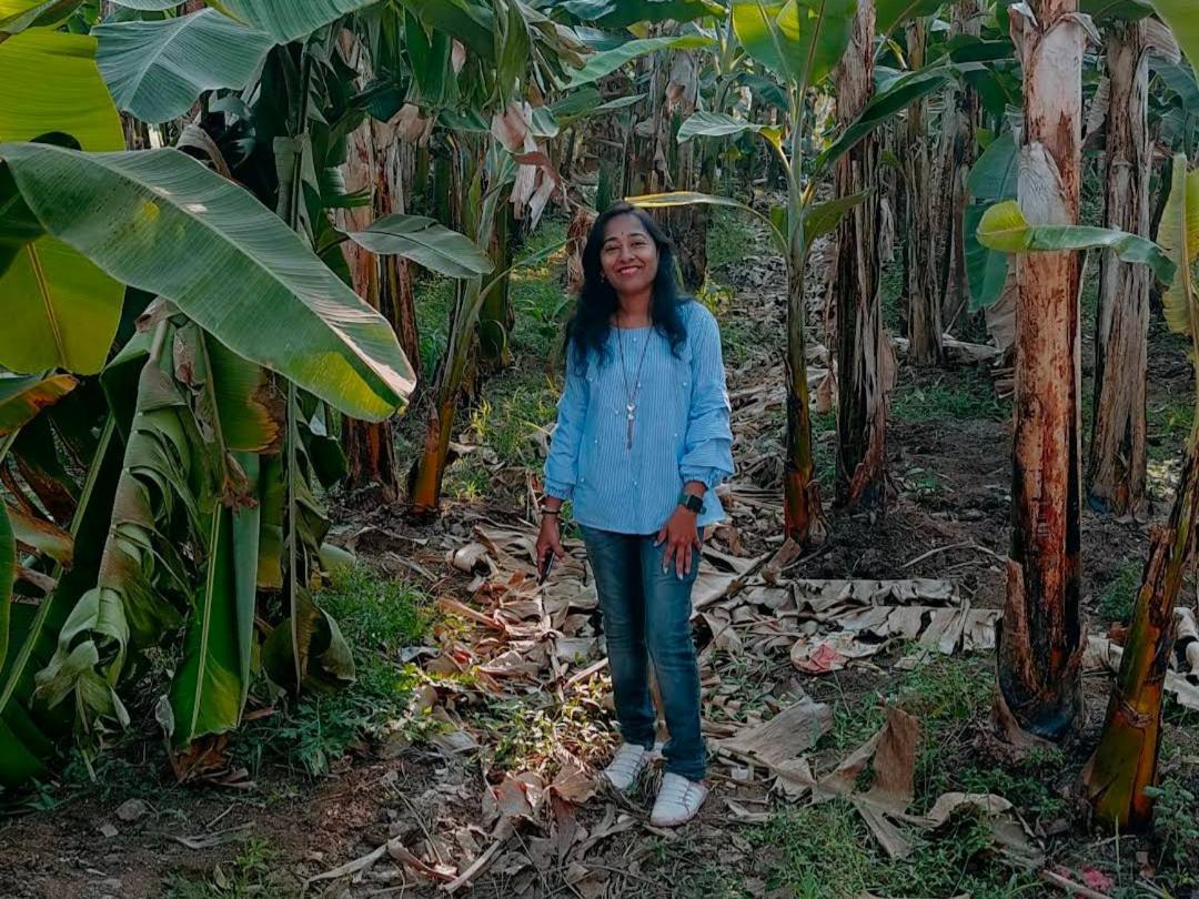 Banana Farm House هامبي المظهر الخارجي الصورة